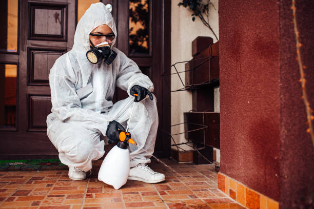 Reliable Wasp Removal contractor in Oakland, OK by Show Me Pest Control